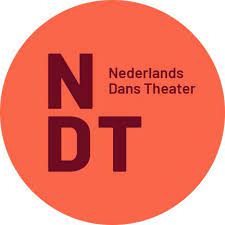 AUDITION FOR NDT 1 2025/26 logo