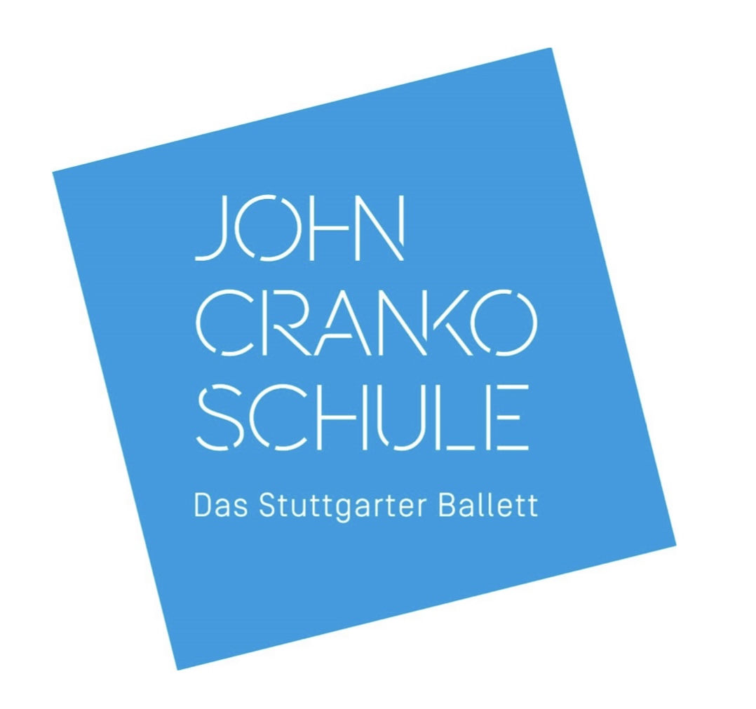 VIDEO APPLICATION logo