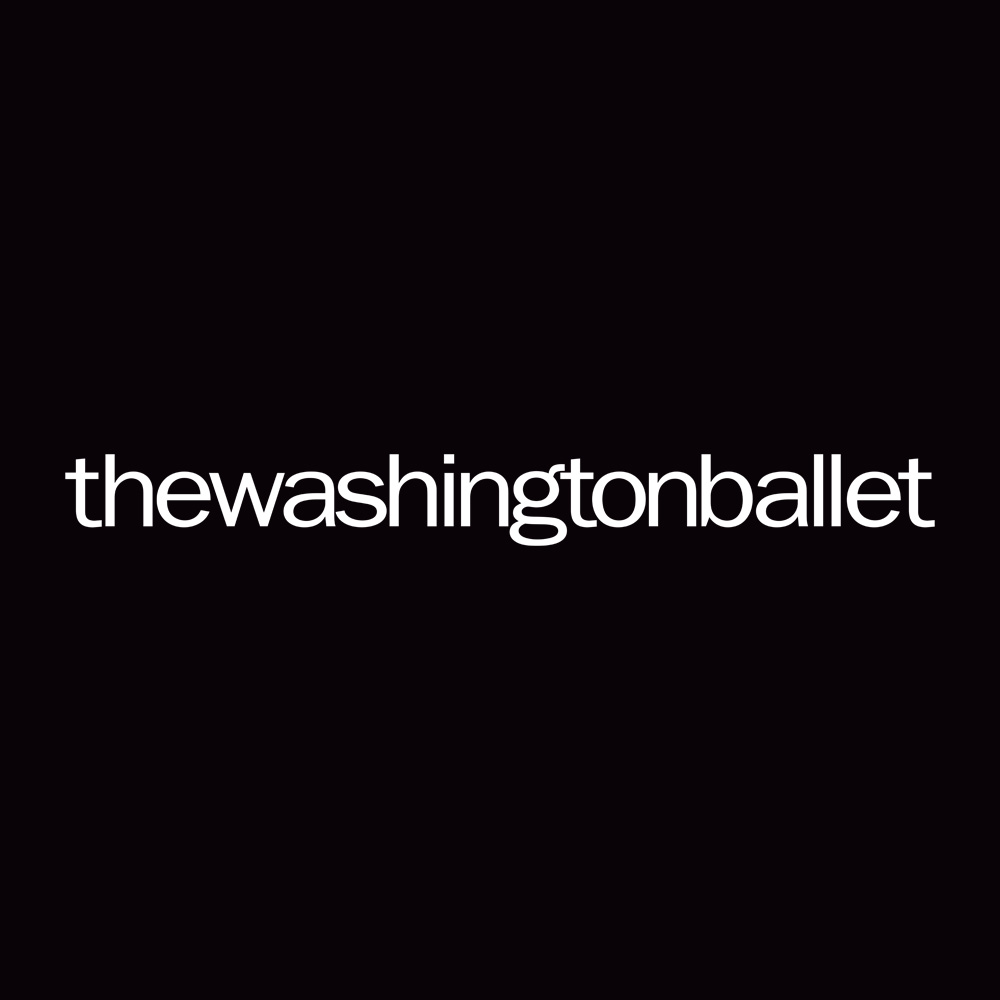 Company & Studio Company logo